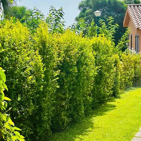 Ferienhaus Casa La Thumbergia *